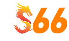 s66