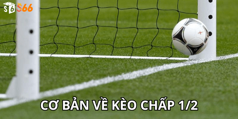 Cơ Bản Về Kèo Chấp 1/2